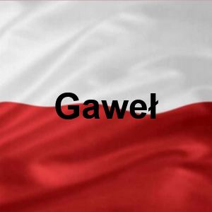 Gawe — Polskie Imiona Męskie option 94