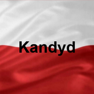 Kandyd — Polskie Imiona Męskie option 143