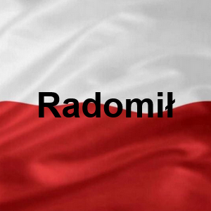 Radomi — Polskie Imiona Męskie option 223