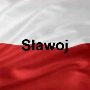 Sawoj — Polskie Imiona Męskie option 237