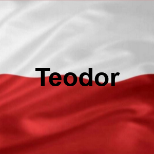 Teodor — Polskie Imiona Męskie option 256