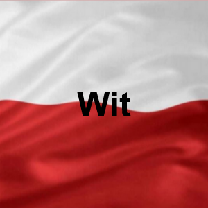 Wit — Polskie Imiona Męskie option 282