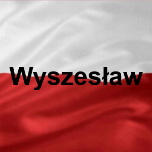 Wyszesaw — Polskie Imiona Męskie option 289