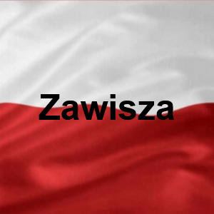 Zawisza — Polskie Imiona Męskie option 291