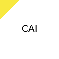Cai — TUDelft BsC Computer Science Courses - (new & legacy titles) option 5