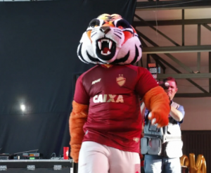 Captura De Tela 2025 01 31 191202 — Mascotes do Futebol Brasileiro COMPLETO option 31