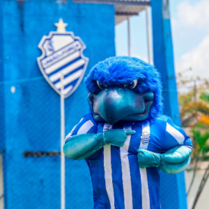 Captura De Tela 2025 01 31 195135 — Mascotes do Futebol Brasileiro COMPLETO option 48