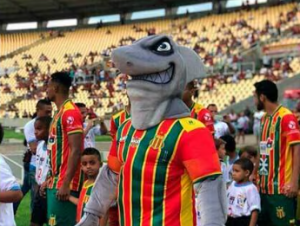 Captura De Tela 2025 01 31 200116 — Mascotes do Futebol Brasileiro COMPLETO option 52