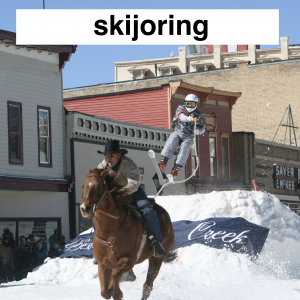 Img3685 — Which Is The Sportiest Sport? (100+ Sports!) option 28
