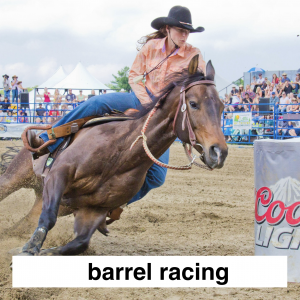 Img3689 — Which Is The Sportiest Sport? (100+ Sports!) option 32