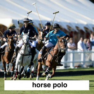 Img3692 — Which Is The Sportiest Sport? (100+ Sports!) option 35