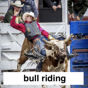 Img3697 — Which Is The Sportiest Sport? (100+ Sports!) option 39