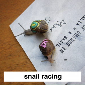 Img3700 — Which Is The Sportiest Sport? (100+ Sports!) option 41