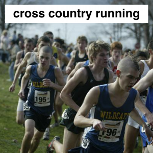 Img3711 — Which Is The Sportiest Sport? (100+ Sports!) option 47