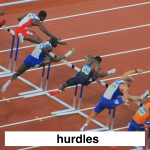 Img3716 — Which Is The Sportiest Sport? (100+ Sports!) option 49