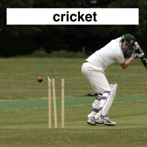 Img3718 — Which Is The Sportiest Sport? (100+ Sports!) option 51