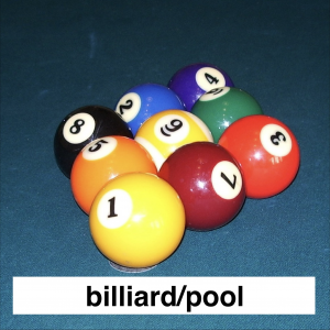 Img3719 — Which Is The Sportiest Sport? (100+ Sports!) option 52