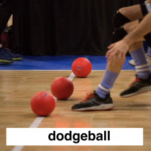 Img3722 — Which Is The Sportiest Sport? (100+ Sports!) option 55