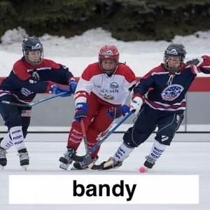 Img3727 — Which Is The Sportiest Sport? (100+ Sports!) option 60