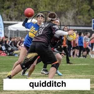 Img3732 — Which Is The Sportiest Sport? (100+ Sports!) option 63