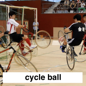 Img3734 — Which Is The Sportiest Sport? (100+ Sports!) option 64