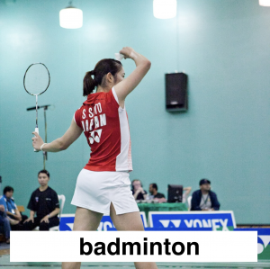 Img3735 — Which Is The Sportiest Sport? (100+ Sports!) option 65