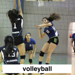 Img3736 — Which Is The Sportiest Sport? (100+ Sports!) option 66