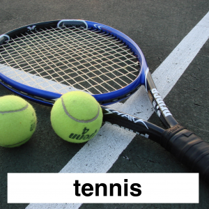 Img3737 — Which Is The Sportiest Sport? (100+ Sports!) option 67