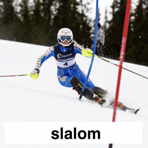 Img3768 — Which Is The Sportiest Sport? (100+ Sports!) option 92