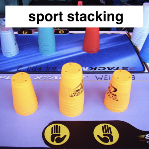 Img3771 — Which Is The Sportiest Sport? (100+ Sports!) option 95