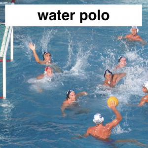 Img3774 — Which Is The Sportiest Sport? (100+ Sports!) option 98