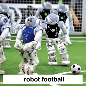 Img3779 — Which Is The Sportiest Sport? (100+ Sports!) option 101