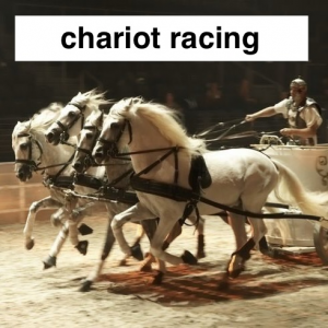 Img3786 — Which Is The Sportiest Sport? (100+ Sports!) option 105