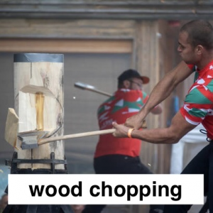 Img3787 — Which Is The Sportiest Sport? (100+ Sports!) option 106