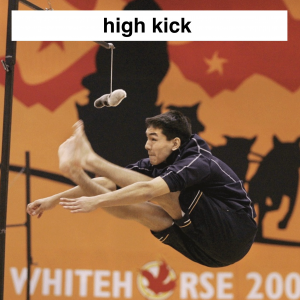 Img3799 — Which Is The Sportiest Sport? (100+ Sports!) option 114