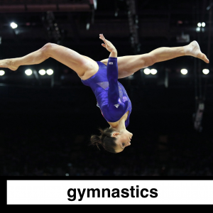 Img3801 — Which Is The Sportiest Sport? (100+ Sports!) option 115