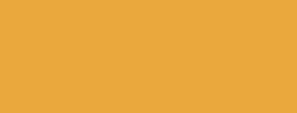 Orange — HTML Colors option 34