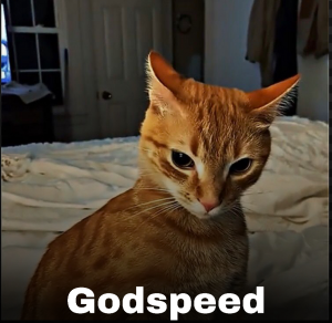 Zzzzz 1753738122img2249 — Apologetics & Debating Tierlist option 78