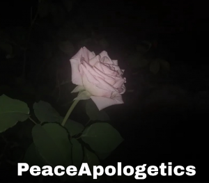Zzzzz 1753738124img2287 — Apologetics & Debating Tierlist option 96