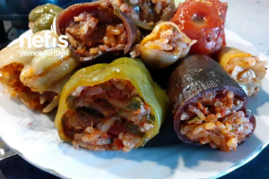 Nefis Kavurmali Diyarbakir Dolmasi — Türk Yemekleri Tierlist option 139