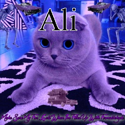 Ali — Ultimate PCB User Tier List option 4