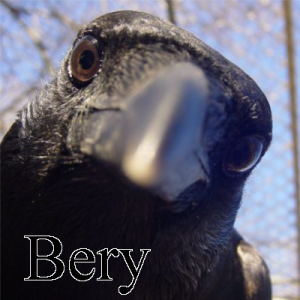 Bery — Ultimate PCB User Tier List option 19