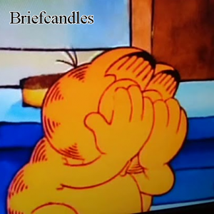 Briefcandles — Ultimate PCB User Tier List option 27