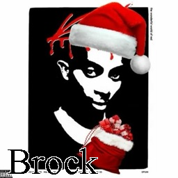 Brok — Ultimate PCB User Tier List option 29