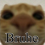 Bruhe — Ultimate PCB User Tier List option 30