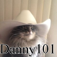 Danny101 — Ultimate PCB User Tier List option 51