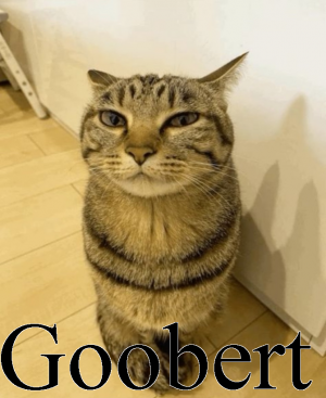 Goober — Ultimate PCB User Tier List option 75