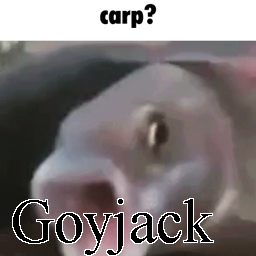 Goyjak — Ultimate PCB User Tier List option 76