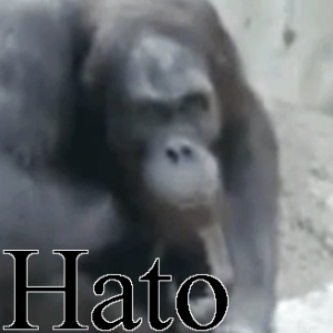 Hato — Ultimate PCB User Tier List option 80