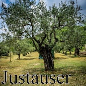 Justauser — Ultimate PCB User Tier List option 95